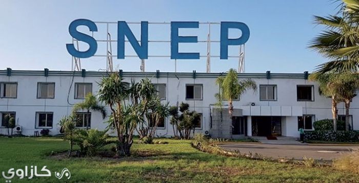 سنيب