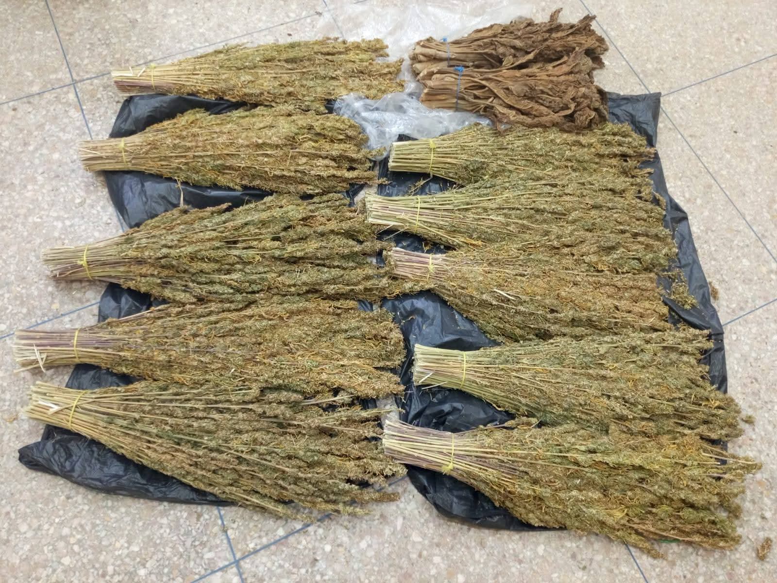 الدرك الملكي 18 الدرك الملكي يفكك شبكة لترويج المخدرات ببولعوان ويصادر كميات مهمة من الممنوعات